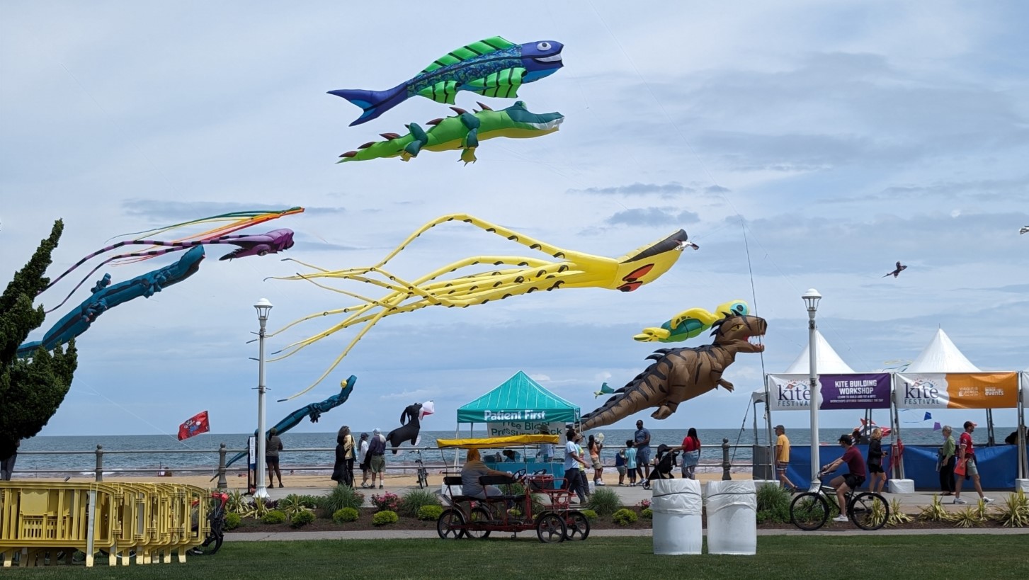 Atlantic Coast Kite Festival 2024.jpg